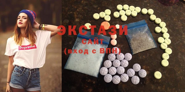 ECSTASY Алзамай
